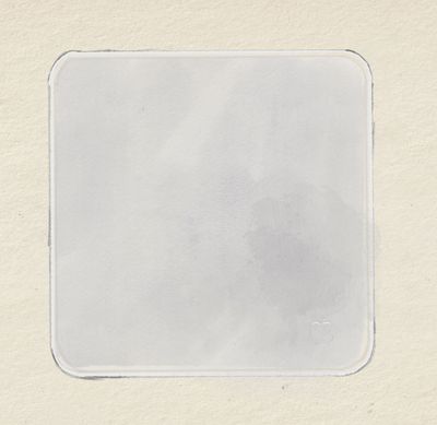 Apple Polishing Cloth