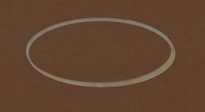 Trace fossil: a ring deposited on oiled wood after prolonged contact. The specimen marked its presence whether or not the household consented.